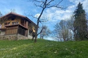 Locazioni turistiche brevi: Il nocciòlo di Daisy