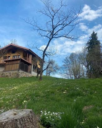 Locazioni turistiche brevi: Il nocciòlo di Daisy