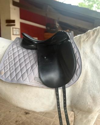 Sella dressage stübben 16”