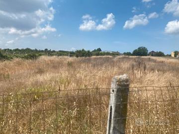 Terreno agricolo mq 2000 - ischitella