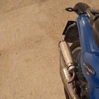 Marmitta TT leo vince