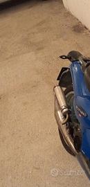 Marmitta TT leo vince