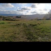 Casa di campagna con ara