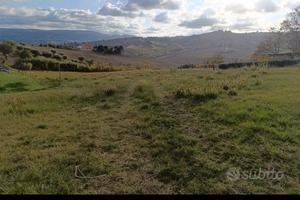 Casa di campagna con ara