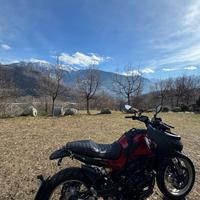 Benelli leoncino 500 trail