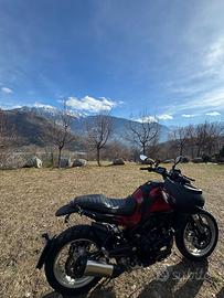 Benelli leoncino 500 trail