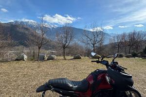 Benelli leoncino 500 trail