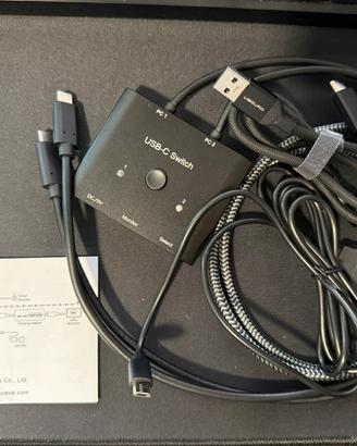 Switch Usb C KVM