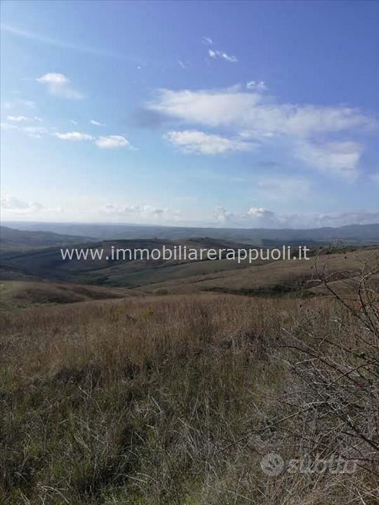 AG39 - San Casciano Dei Bagni azienda agri - Vista 5