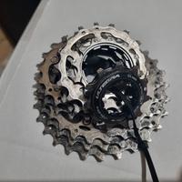 Pacco pignoni ultegra