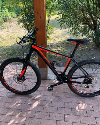 MTB Bull