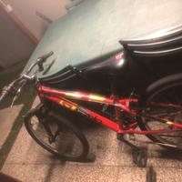 Bici  mountan bike aurelia