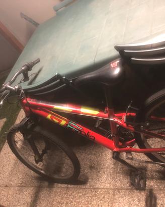 Bici  mountan bike aurelia