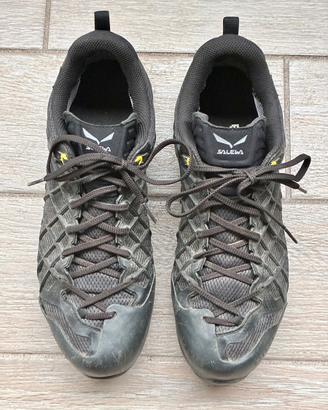 Salewa WildFire Gtx tg. 45