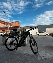 Ebike
