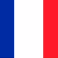  Francese con Madrelingua -Modena e Provincia 