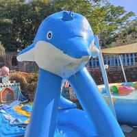 Schiuma party gonfiabile