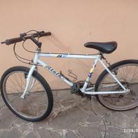 Bicicletta MTB cerchio 24