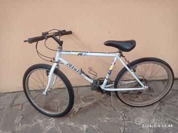 Bicicletta MTB cerchio 24