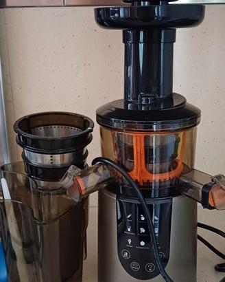 estrattore succo RGV 