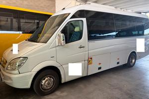 Mercedes Sprinter 519