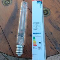 lampadina 