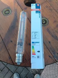 lampadina 