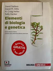 Libro