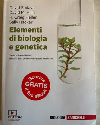 Libro