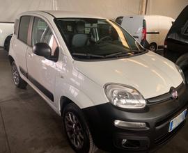 Fiat Panda van 4x4 usata