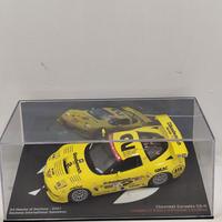 Corvette C5-R #2 - 24H Daytona 2001 - 1:43
