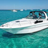 Sea ray 290 sundacer