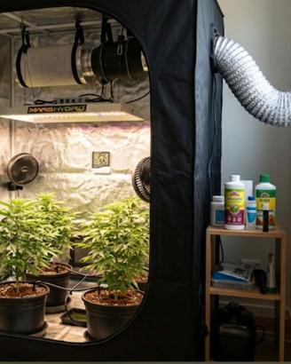 Kit idro aereoponico  panda +growbox aspiratori