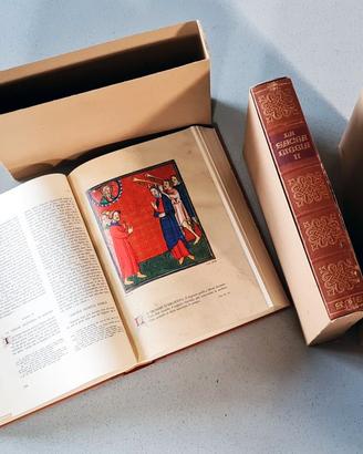 Sacra Bibbia Illustrata - SAIE Torino 1971