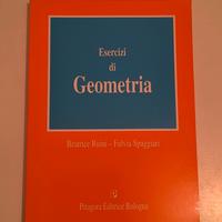 Libro Esercizi di Geometria Ruini e Spaggiari 