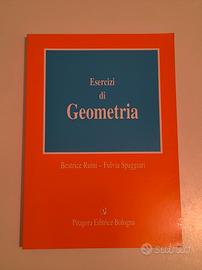 Libro Esercizi di Geometria Ruini e Spaggiari 