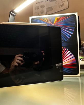 iPad Pro 5th Generation + Apple Pencil