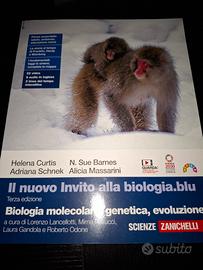 libro liceo scientifico