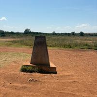 Puzzle animali savana