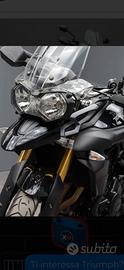 Triumph Tiger 800