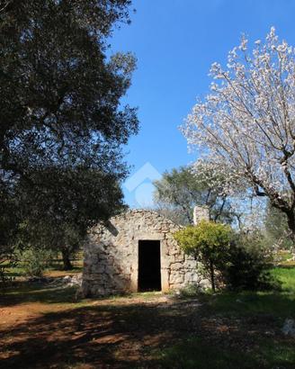 RUSTICO A CEGLIE MESSAPICA