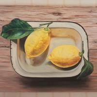 Dipinto a olio su tela  30 x 50 cm "limoni "