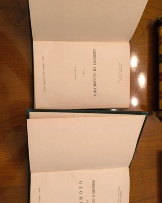 Libro lezioni di geometria  di Giuseppe Vaccaro