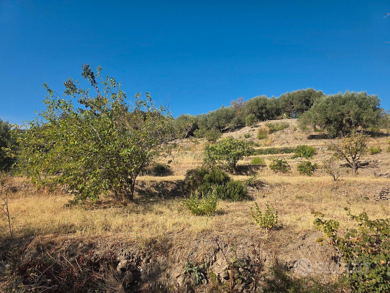 terreno con casetta - Altro