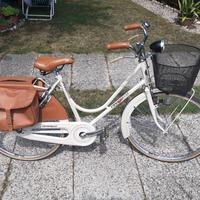 Bicicletta Olandese Stile Vintage by Pinarello
