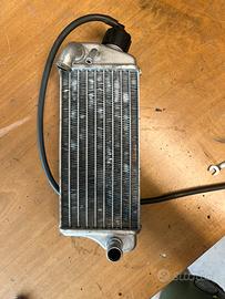 Radiatore destro am6