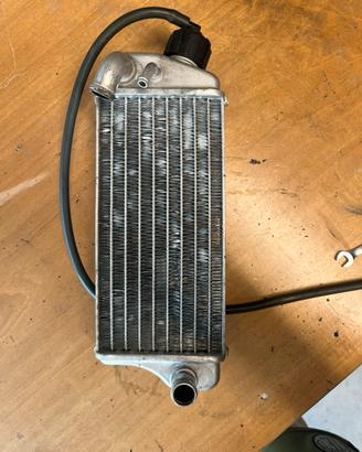 Radiatore destro am6