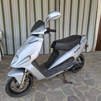 Motorino Malaguti F12 Phantom