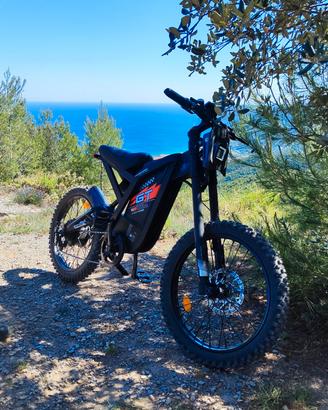 E-BIKE KING GT-2000. 