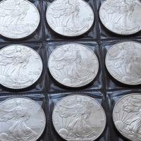 ARGENTO 999 _ 1 oncia USA CANADA AUSTRIA _ 1OZ